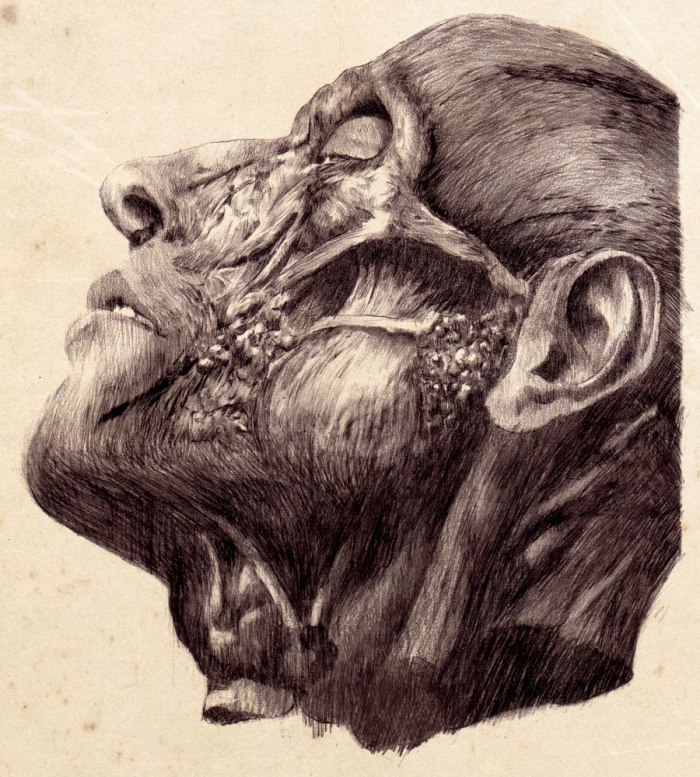 The-Flesh-in-Mind's-Conquering#2_pencil_30x21cm